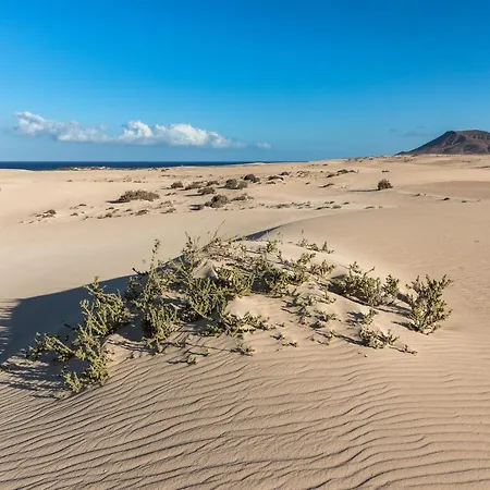 Home2book Ocean View With Private Pool Вилла *